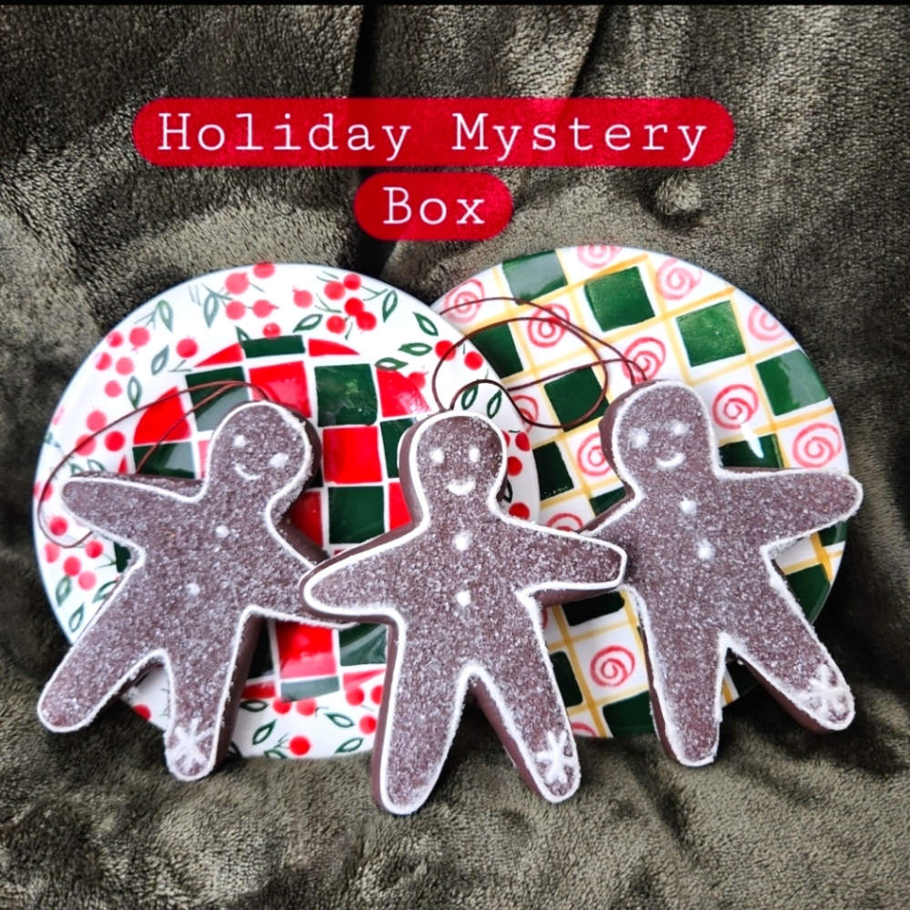Coquette Christmas Decor Mystery Box
